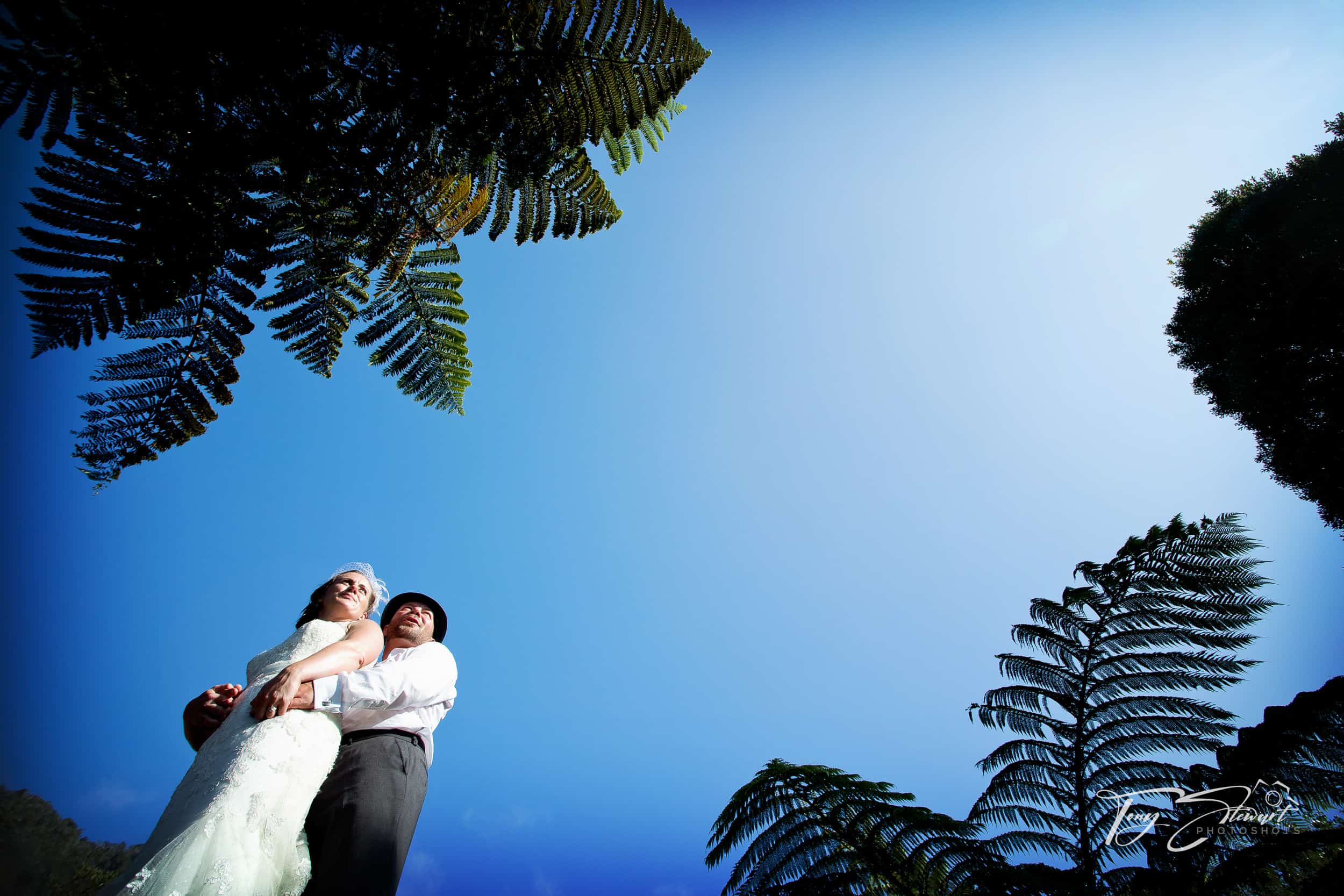 Wedding couple look through ferns during a West Coast photoshoot.