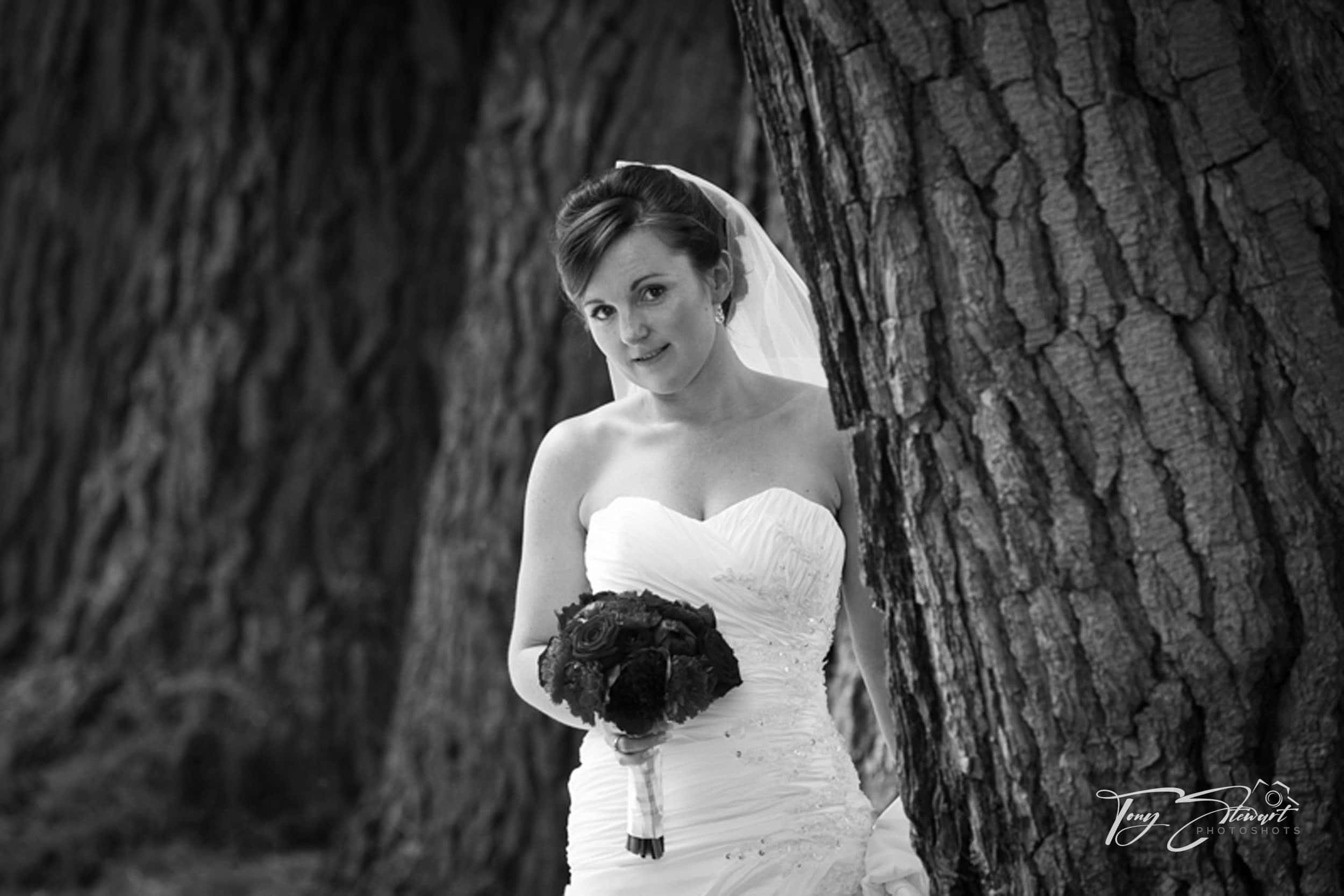 Bride sneaks peak around tree lined grove at Trents Estate winery.