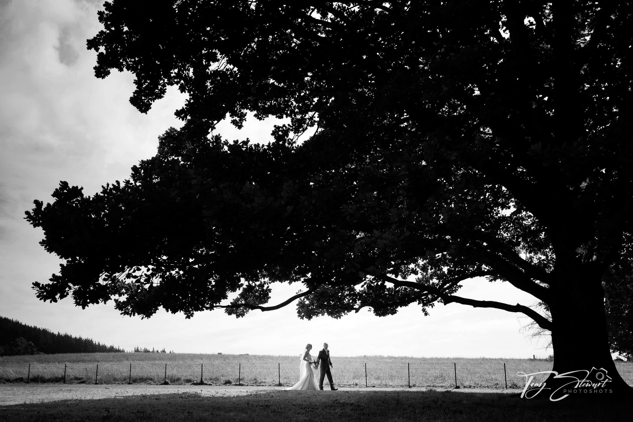 Couple walk on grassy lawn dwarfed by giant Oak tree, Otahuna Lodge, Tai Tapu.