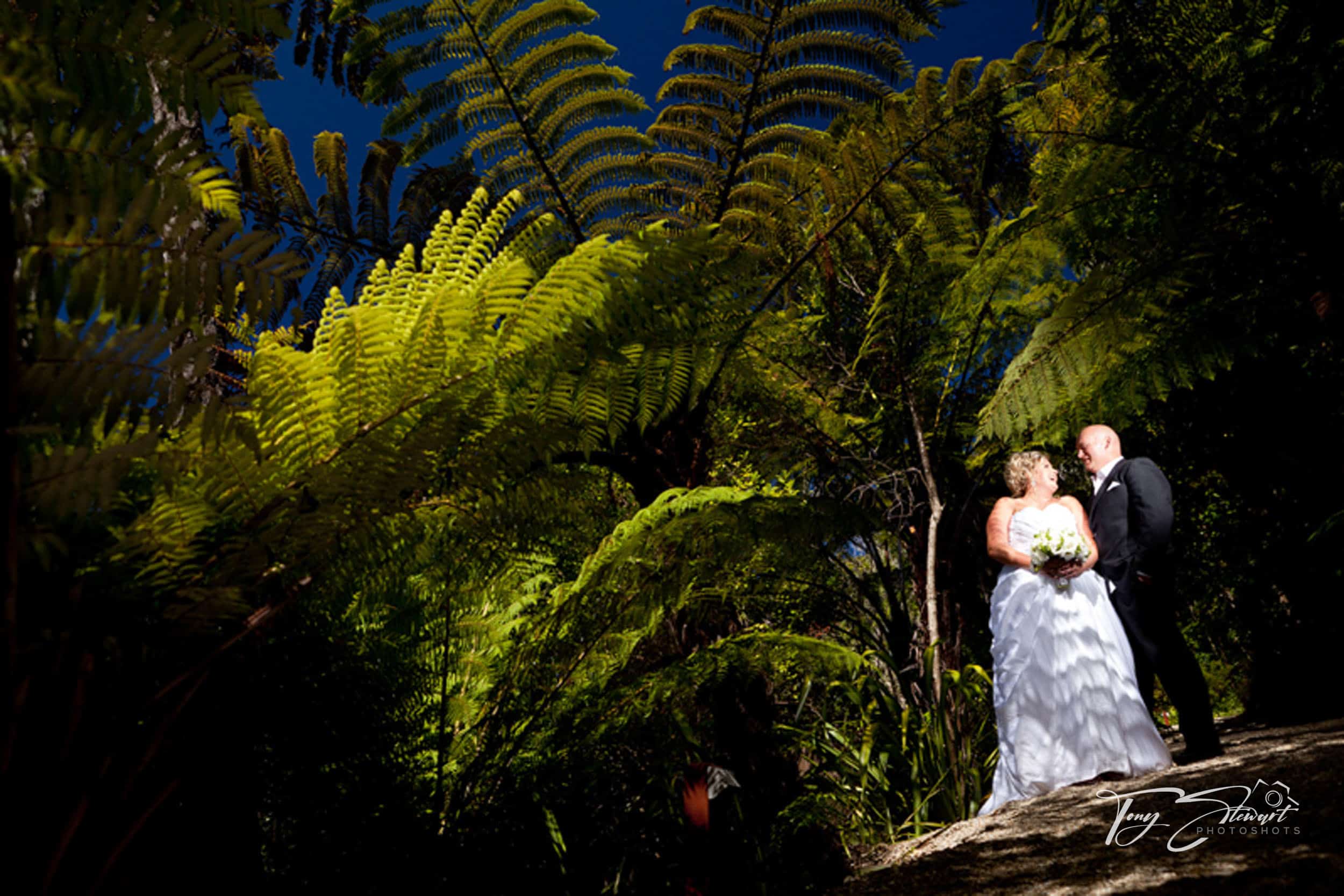 Bridal couple stand on track amongst punga ferns and native bush, Marlborough Sounds.
